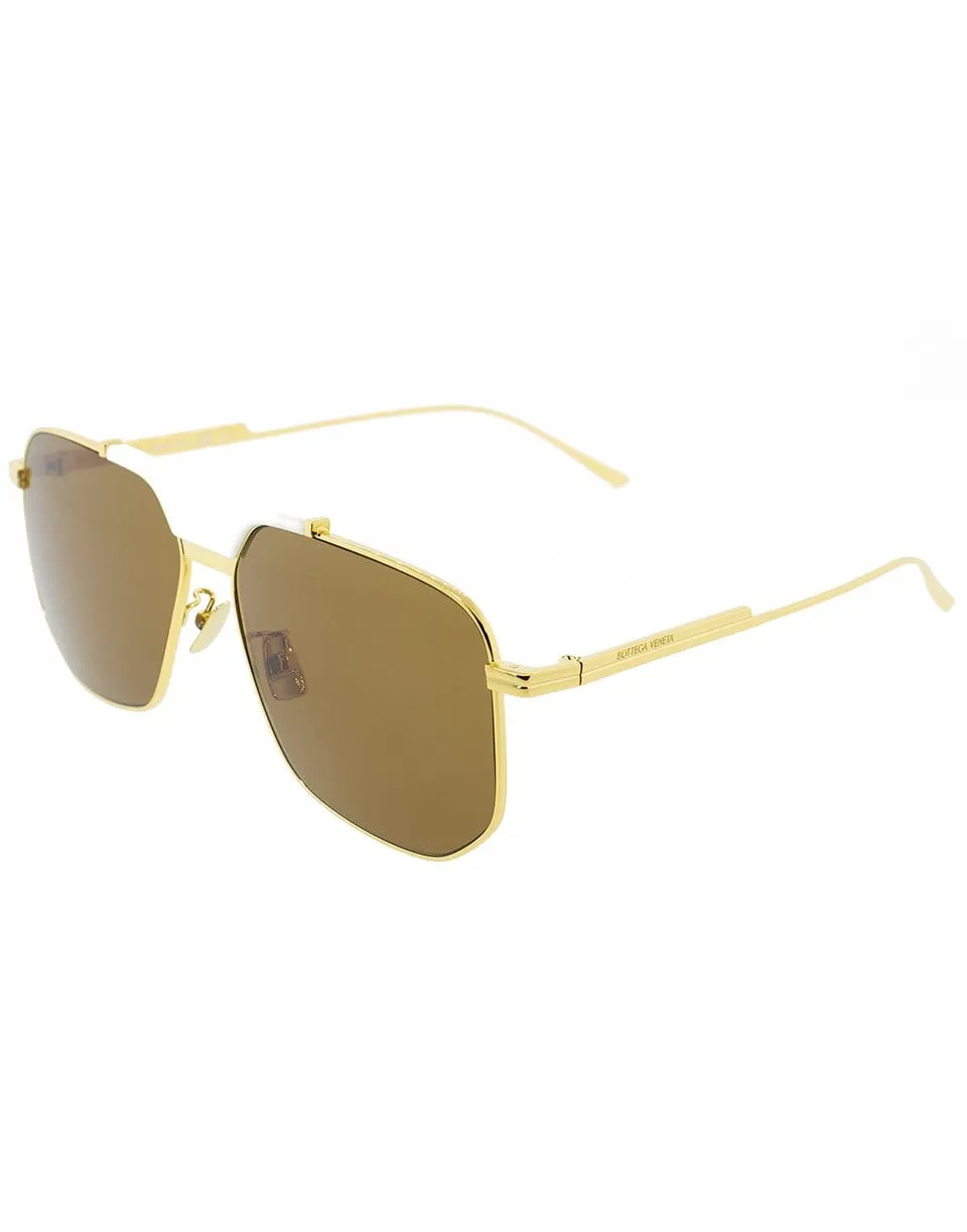Gold and Brown Classic Sunglasses