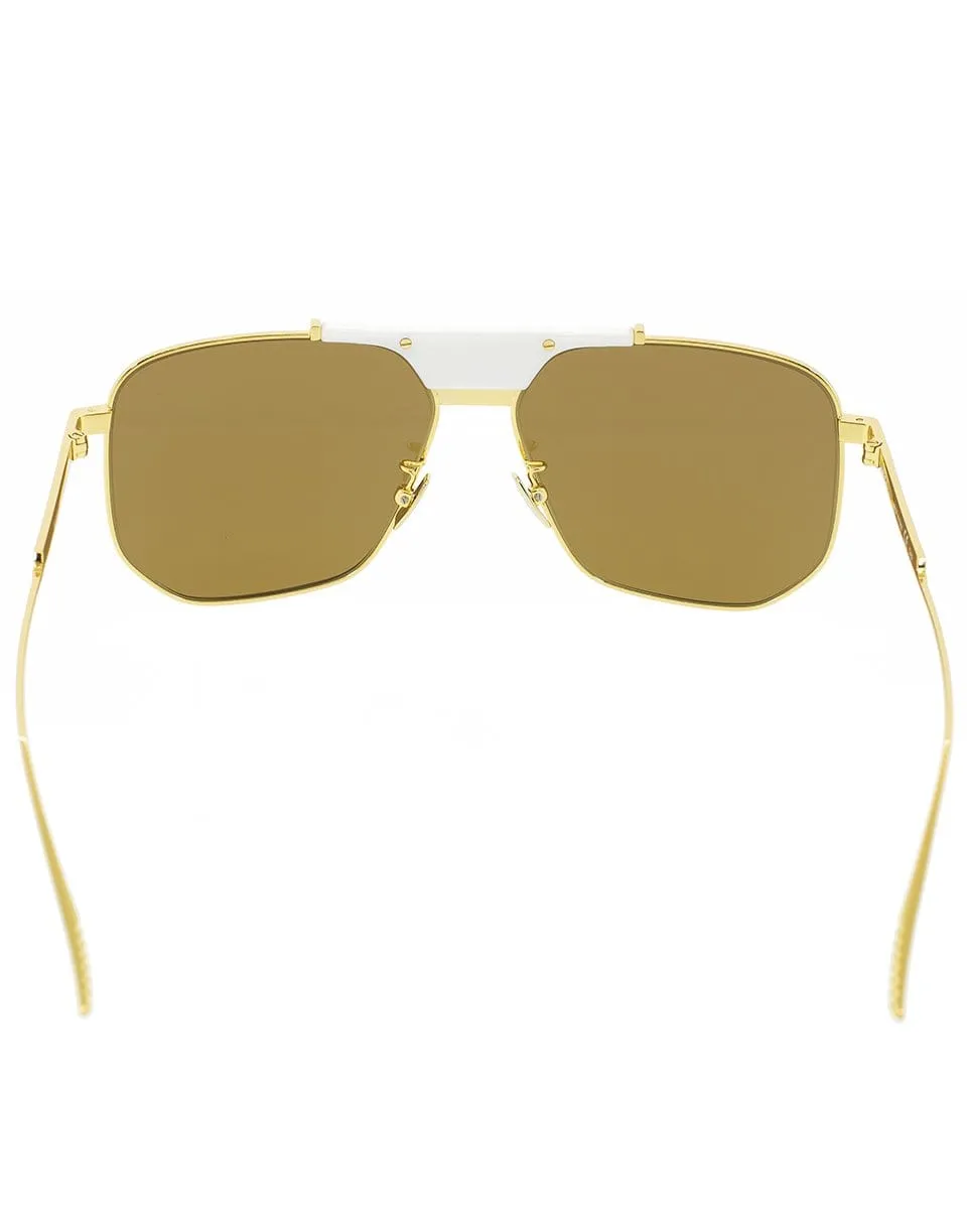 Gold and Brown Classic Sunglasses