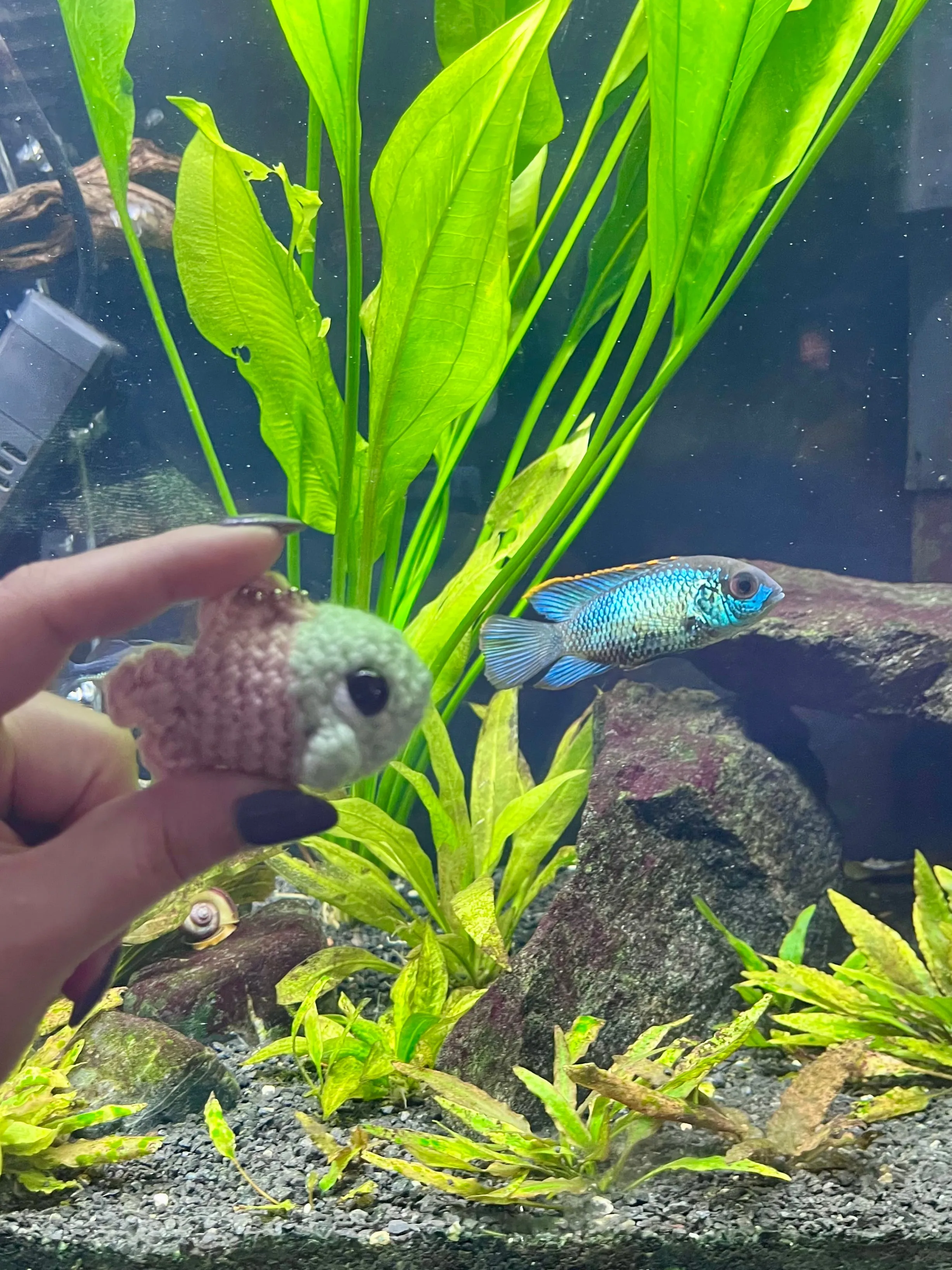 Mini Fish - Keychain