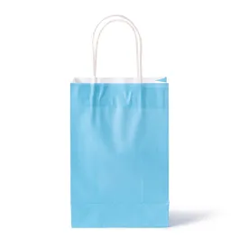 Pale Blue Party Bags with Handles (x12)