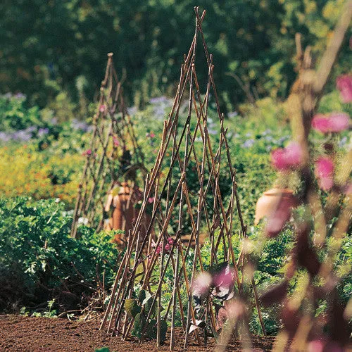 Willow Garden Pyramid Trellis